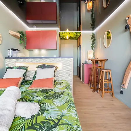 Jungle House Heliopolis 아파트 *